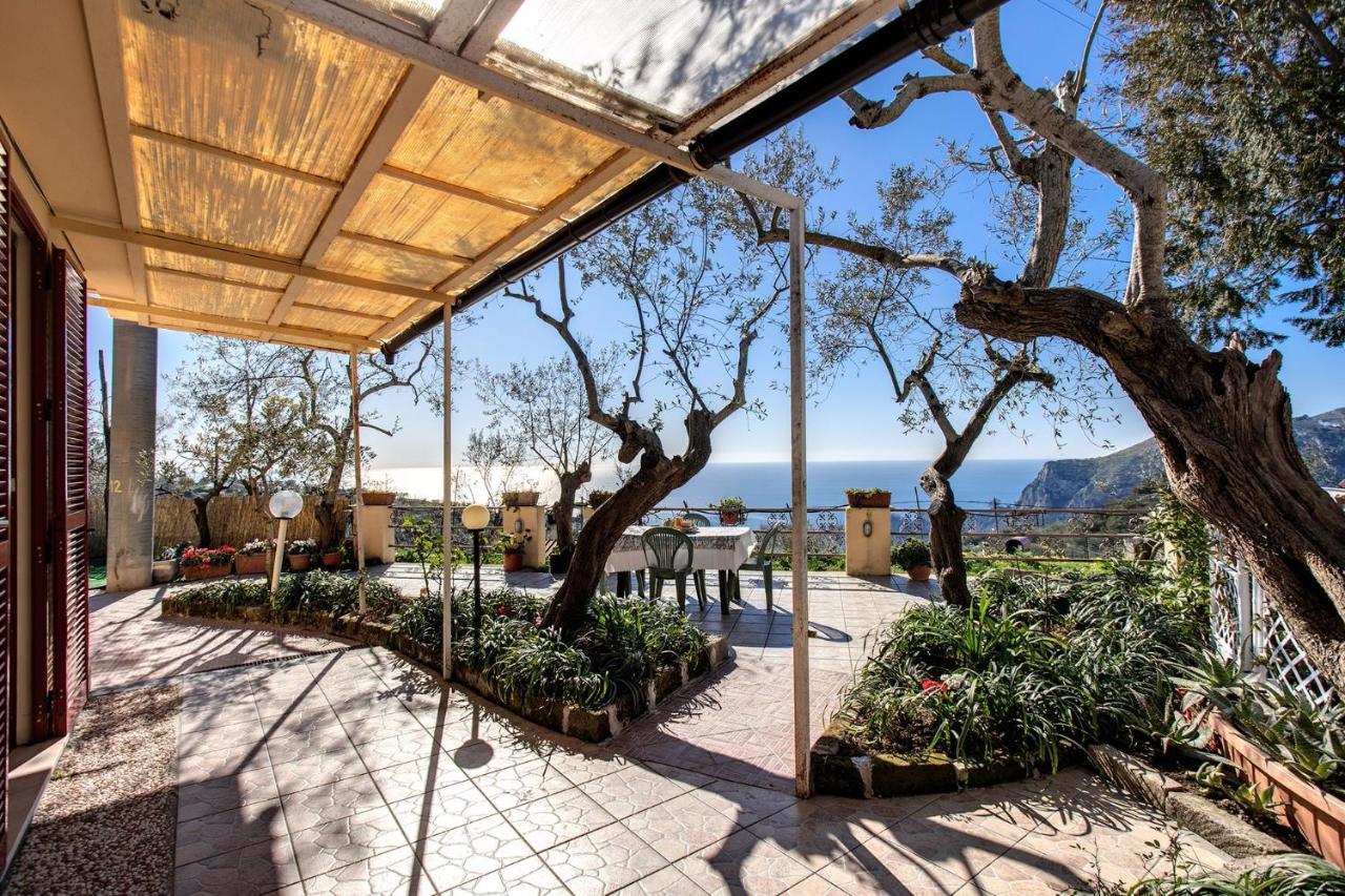 Il Pioppo - Country House Sea View Massa Lubrense Eksteriør billede