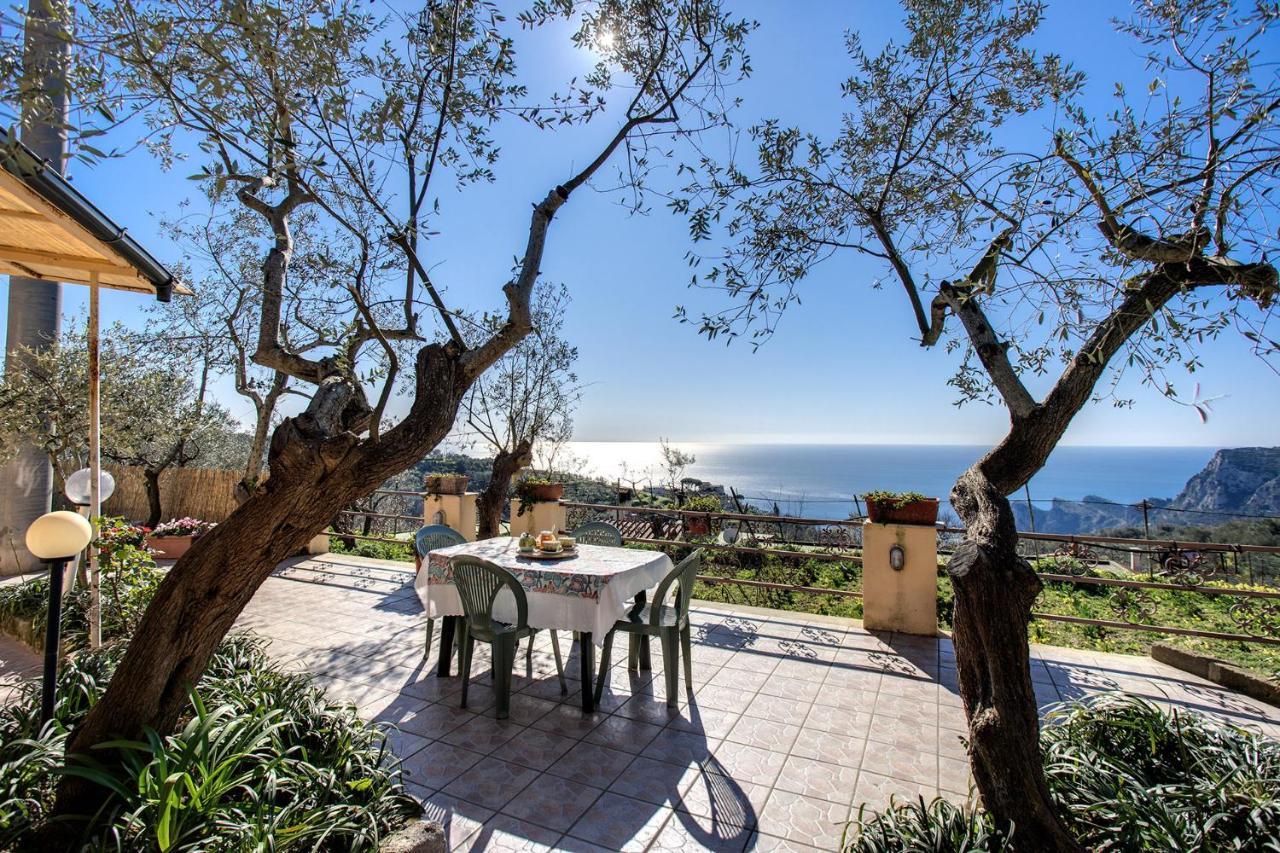 Il Pioppo - Country House Sea View Massa Lubrense Eksteriør billede