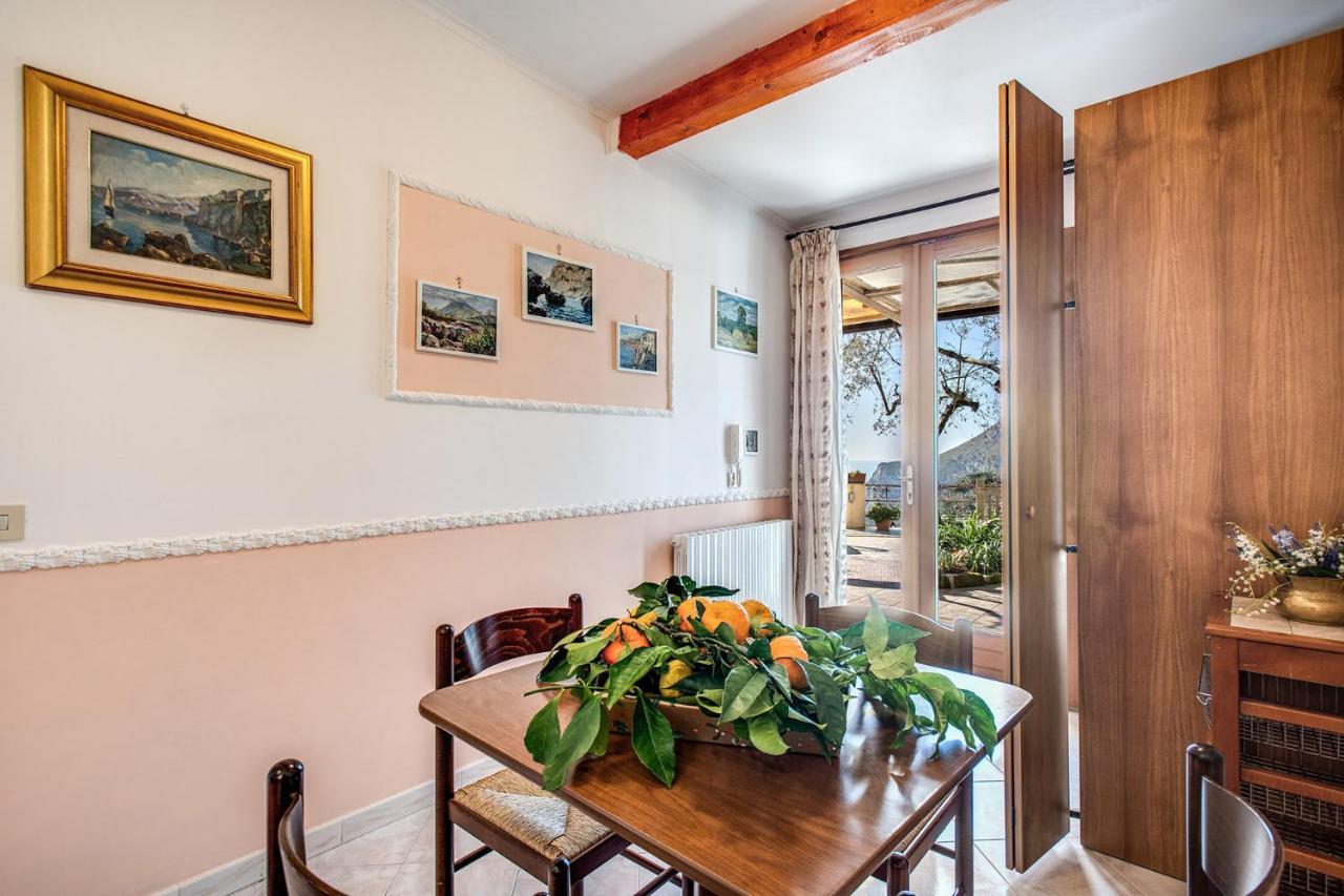 Il Pioppo - Country House Sea View Massa Lubrense Eksteriør billede